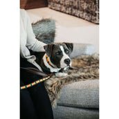 Kentucky Collier Perles Artisanales Pure Orange Kentucky Collier Perles Artisanales Pure Orange