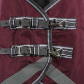 WeatherBeeta Couverture d'Hiver ComFiTec Plus Dynamic II Combo Neck Medium/Lite 100g Maroon/Gris/Blanc WeatherBeeta Couverture d'Hiver ComFiTec Plus Dynamic II Combo Neck Medium/Lite 100g Maroon/Gris/Blanc