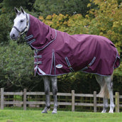 WeatherBeeta Couverture Imperméable ComFiTec Plus Dynamic II Detach-A-Neck Lite 0g Maroon/Gris/Blanc WeatherBeeta Couverture Imperméable ComFiTec Plus Dynamic II Detach-A-Neck Lite 0g Maroon/Gris/Blanc