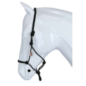 F.R.A. Licol de Travail Babia Nylon Noir F.R.A. Licol de Travail Babia Nylon Noir