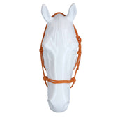 F.R.A. Licol de Travail Babia Ruchi Collection Nylon Rouge/Jaune F.R.A. Licol de Travail Babia Ruchi Collection Nylon Rouge/Jaune