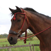 F.R.A. Bride Classique Bodanza Coton avec Rênes détachables Rouge/vert F.R.A. Bride Classique Bodanza Coton avec Rênes détachables Rouge/vert