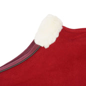 Diego & Louna Couverture pour Chien Polar Bordeaux Diego & Louna Couverture pour Chien Polar Bordeaux