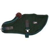 Diego & Louna Couverture pour Chien Polar Vert Diego & Louna Couverture pour Chien Polar Vert