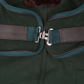 Diego & Louna Couverture pour Chien Polar Vert Diego & Louna Couverture pour Chien Polar Vert