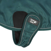 Diego & Louna Couverture pour Chien Teddy Nylon Vert Diego & Louna Couverture pour Chien Teddy Nylon Vert