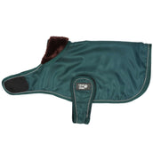 Diego & Louna Couverture pour Chien Teddy Nylon Vert Diego & Louna Couverture pour Chien Teddy Nylon Vert