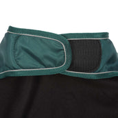 Diego & Louna Couverture pour Chien Teddy Nylon Vert Diego & Louna Couverture pour Chien Teddy Nylon Vert