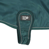 Diego & Louna Couverture pour Chien Teddy Nylon Vert Diego & Louna Couverture pour Chien Teddy Nylon Vert