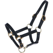 HB Licol pour Poulain Leer Noir HB Licol pour Poulain Leer Noir