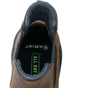 Ariat Jodhpurs Bateau Barnyard Twin Gore II Waterproof Boot Hommes Antique Brown Ariat Jodhpurs Bateau Barnyard Twin Gore II Waterproof Boot Hommes Antique Brown