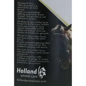 Excellent Spray Scintillant Hi Gloss Argent Excellent Spray Scintillant Hi Gloss Argent