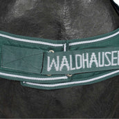 Waldhausen Chemise de Marcheur 100g Fir Green Waldhausen Chemise de Marcheur 100g Fir Green