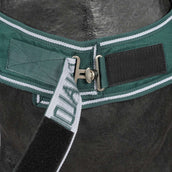 Waldhausen Chemise de Marcheur 100g Fir Green Waldhausen Chemise de Marcheur 100g Fir Green