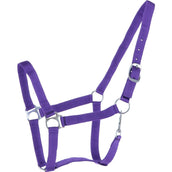 HKM Licol Brisbane Violet HKM Licol Brisbane Violet