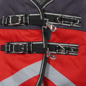 WeatherBeeta Couverture d'Hiver ComFiTec Plus Dynamic II Detach-A-Neck Medium 220g Noir/Rouge/Argent WeatherBeeta Couverture d'Hiver ComFiTec Plus Dynamic II Detach-A-Neck Medium 220g Noir/Rouge/Argent