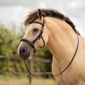 F.R.A. Bride Runa 3 en 1 Havane F.R.A. Bride Runa 3 en 1 Havane