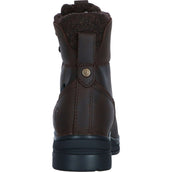 Ariat Chaussure d'Écurie Harper Waterproof Femme Chocolat/Willow Ariat Chaussure d'Écurie Harper Waterproof Femme Chocolat/Willow