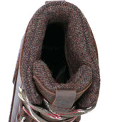 Ariat Chaussure d'Écurie Harper Waterproof Femme Chocolat/Willow Ariat Chaussure d'Écurie Harper Waterproof Femme Chocolat/Willow