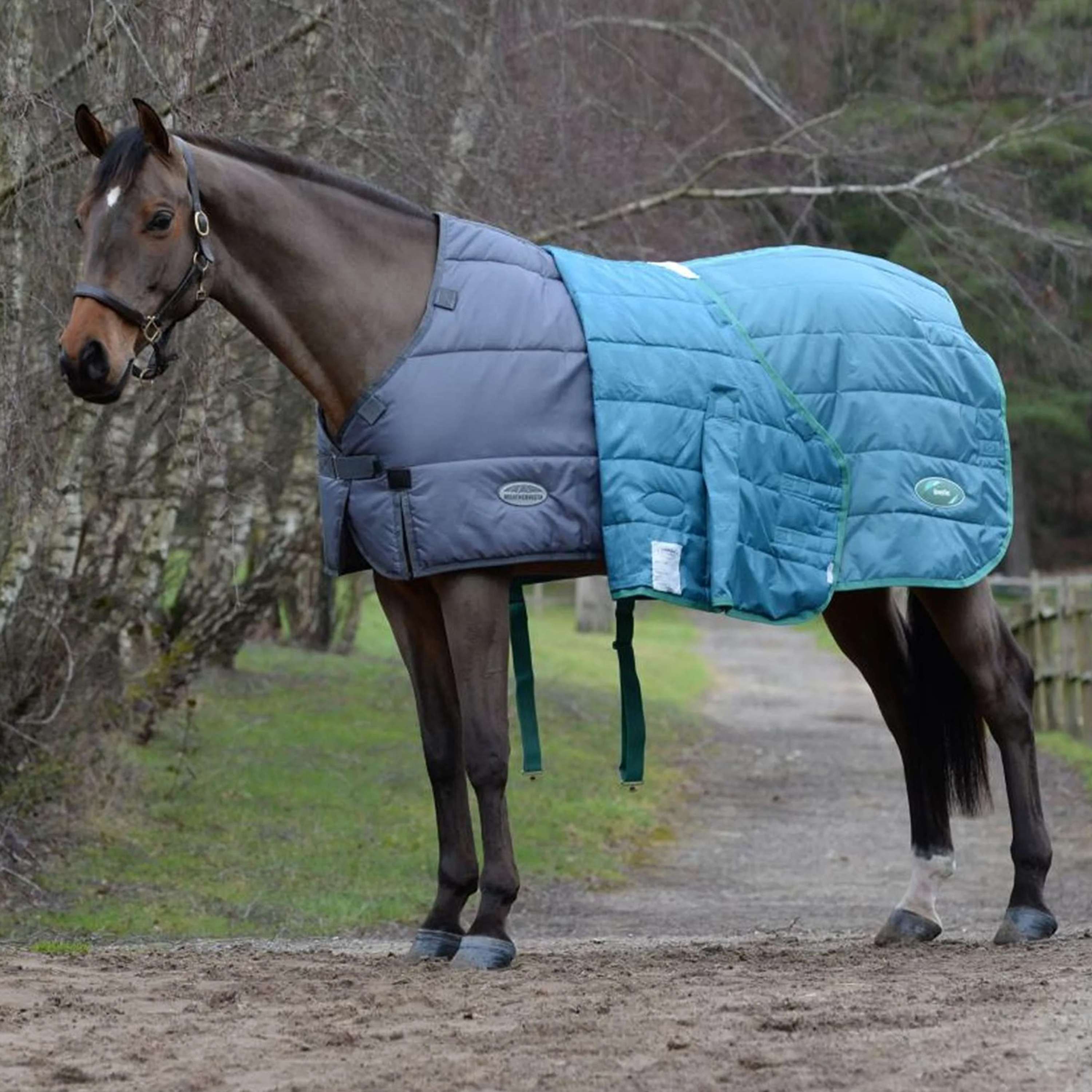 Weatherbeeta Comfitec Plus Dynamic II Col Standard Moyen – GS Equestrian Weatherbeeta Comfitec Plus Dynamic II Col Standard Moyen – GS Equestrian