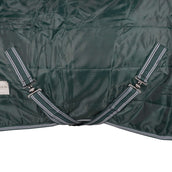 Waldhausen Couverture d'Écurie Economic 100g Vert Sapin Waldhausen Couverture d'Écurie Economic 100g Vert Sapin