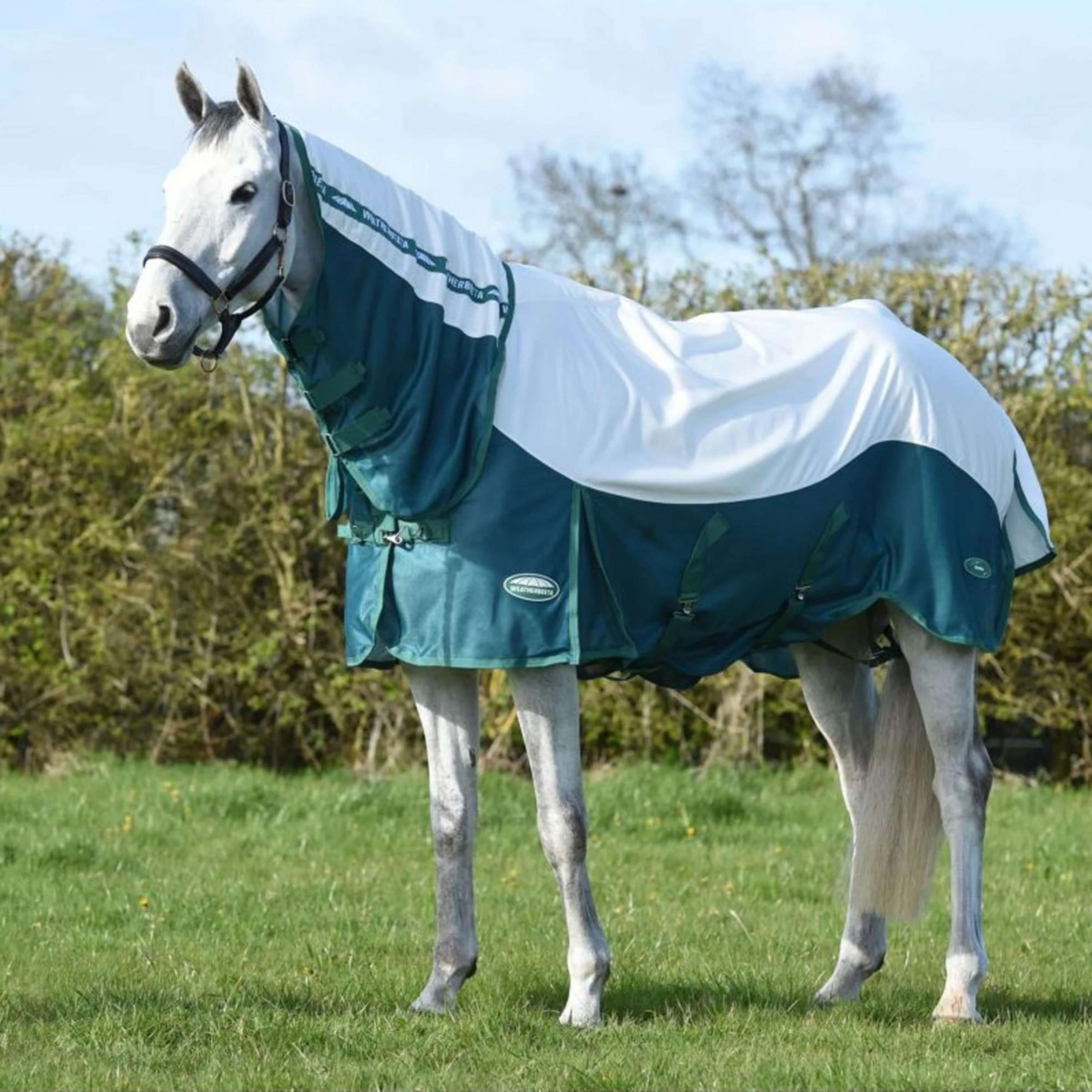 Weatherbeeta Comfitec Sweet Itch Shield Chemise de pluie pour cheval, Blanc/ bleu Weatherbeeta Comfitec Sweet Itch Shield Chemise de pluie pour cheval, Blanc/ bleu