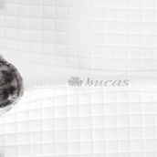 Bucas Tapis de Selle Show-Line Dressage Blanc/Blanc Bucas Tapis de Selle Show-Line Dressage Blanc/Blanc