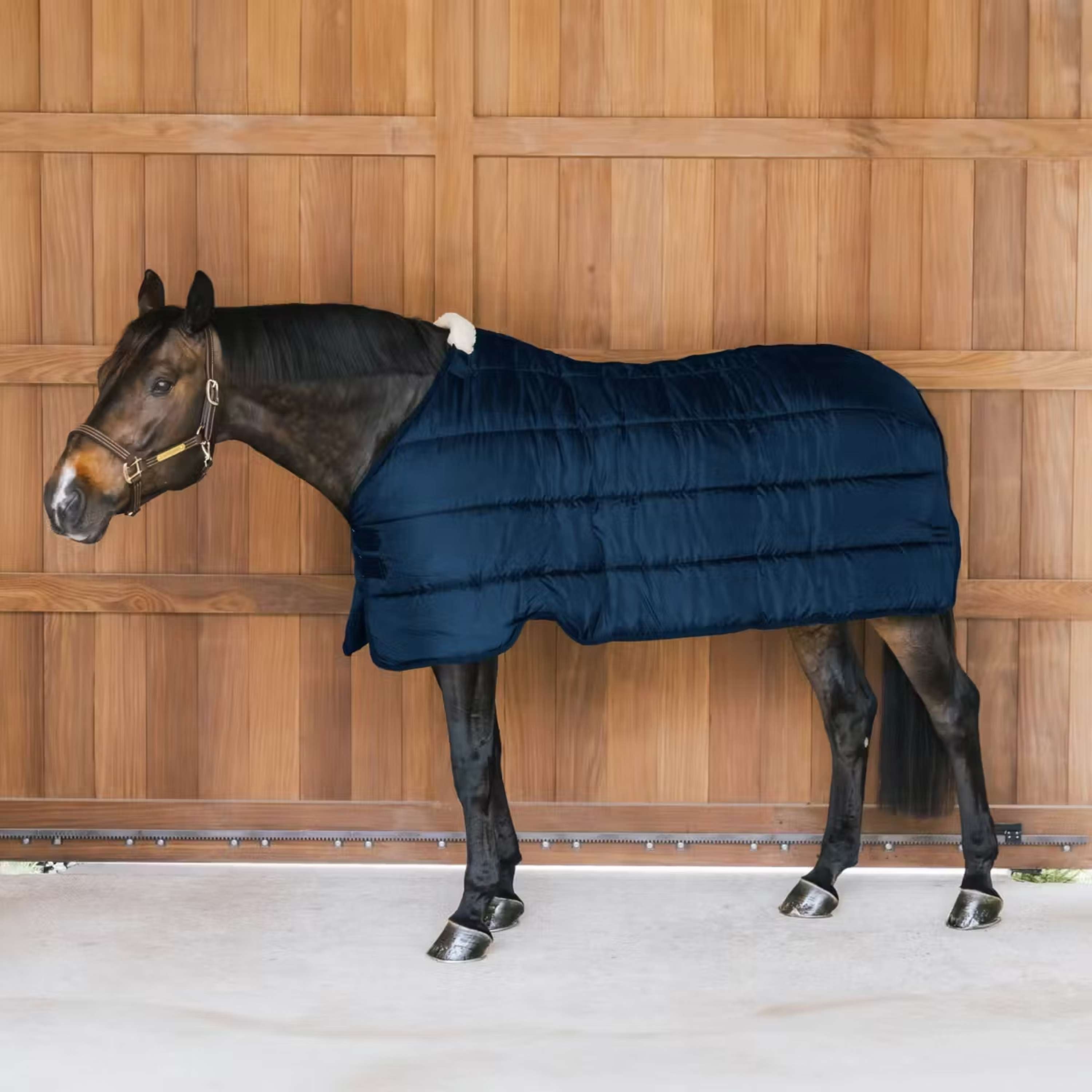 Isolant d'écurie HorseWare Amigo Ripstop 100 g 145/195/6,6 bleu marine Isolant d'écurie HorseWare Amigo Ripstop 100 g 145/195/6,6 bleu marine