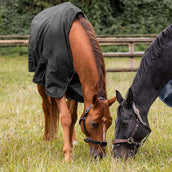 Waldhausen Couverture d'Extérieur Nordic 100g Noir Waldhausen Couverture d'Extérieur Nordic 100g Noir