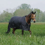 EQUITHÈME Couverture d'Extérieur Tyrex 600D Standard 300g Noir EQUITHÈME Couverture d'Extérieur Tyrex 600D Standard 300g Noir