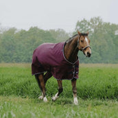 EQUITHÈME Couverture d'Extérieur Tyrex 1200D 450g Standard Bordeaux EQUITHÈME Couverture d'Extérieur Tyrex 1200D 450g Standard Bordeaux