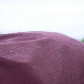 EQUITHÈME Couverture d'Extérieur Tyrex 1200D 450g Standard Bordeaux EQUITHÈME Couverture d'Extérieur Tyrex 1200D 450g Standard Bordeaux