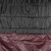 EQUITHÈME Couverture d'Extérieur Tyrex 1200D 450g Standard Bordeaux EQUITHÈME Couverture d'Extérieur Tyrex 1200D 450g Standard Bordeaux