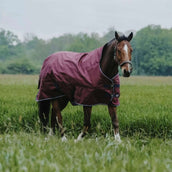 EQUITHÈME Couverture d'Extérieur Tyrex 1200D 0g High Neck Bordeaux EQUITHÈME Couverture d'Extérieur Tyrex 1200D 0g High Neck Bordeaux