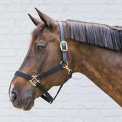 Kentucky Licol Nylon Breakaway Pièce de cou Noir Kentucky Licol Nylon Breakaway Pièce de cou Noir