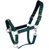 Agradi Horse Licol Athletic Fir Green Agradi Horse Licol Athletic Fir Green