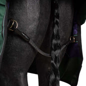 Agradi by Bucas Turnout Rug 0g Vert/Noir Agradi by Bucas Turnout Rug 0g Vert/Noir