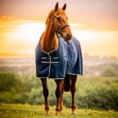 Amigo Ripstop 900D Pony 100g Witney Navy Amigo Ripstop 900D Pony 100g Witney Navy