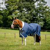 Amigo Chemise Turnout 1200D XL 50g Marine/Gris Titane/Argent Amigo Chemise Turnout 1200D XL 50g Marine/Gris Titane/Argent