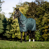 Amigo Ripstop 900D Plus Pony 50g Dynasty Green/Navy/Silver Amigo Ripstop 900D Plus Pony 50g Dynasty Green/Navy/Silver