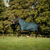 Amigo Ripstop 900D Plus Pony 50g Dynasty Green/Navy/Silver Amigo Ripstop 900D Plus Pony 50g Dynasty Green/Navy/Silver