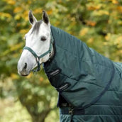 Amigo Couvre-Cou Ripstip Insulator Stable 200g Dynasty Green/Navy/Silver Amigo Couvre-Cou Ripstip Insulator Stable 200g Dynasty Green/Navy/Silver