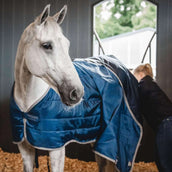 Horseware Ionic Therapy Liner 200g Imperial Blue/Silver/Navy Horseware Ionic Therapy Liner 200g Imperial Blue/Silver/Navy