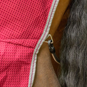 Velder Horsewear Waffle Cooler Rug Mûre Rouge Velder Horsewear Waffle Cooler Rug Mûre Rouge