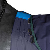 WeatherBeeta ComFiTec Plus Dynamic Turnout Detach-A-Neck 220g Navy/Forest Green WeatherBeeta ComFiTec Plus Dynamic Turnout Detach-A-Neck 220g Navy/Forest Green