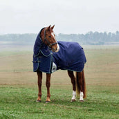 WeatherBeeta ComFiTec Plus Dynamic Turnout Detach-A-Neck 220g Navy/Forest Green WeatherBeeta ComFiTec Plus Dynamic Turnout Detach-A-Neck 220g Navy/Forest Green