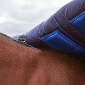 WeatherBeeta ComFiTec Plus Dynamic Turnout High Neck 100g Navy/Forest Green WeatherBeeta ComFiTec Plus Dynamic Turnout High Neck 100g Navy/Forest Green