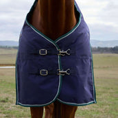 WeatherBeeta ComFiTec Plus Dynamic Turnout 100g Navy/Forest Green WeatherBeeta ComFiTec Plus Dynamic Turnout 100g Navy/Forest Green