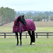 WeatherBeeta ComFiTec Essential Turnout Combo 50g Bourgogne/Marine WeatherBeeta ComFiTec Essential Turnout Combo 50g Bourgogne/Marine