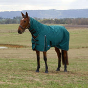 WeatherBeeta ComFiTec Classic Turnout Combo 50g Forest Green/Black WeatherBeeta ComFiTec Classic Turnout Combo 50g Forest Green/Black